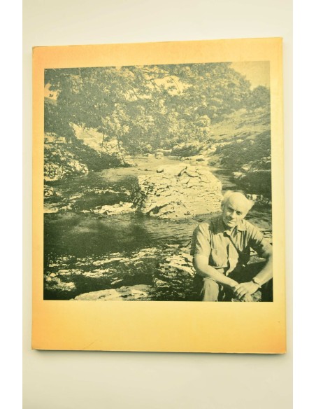 Ben Nicholson : new work