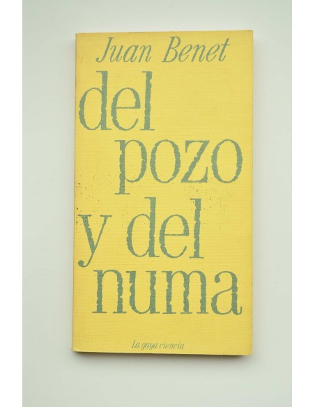 Del pozo y del Numa. Un ensayo y una leyenda