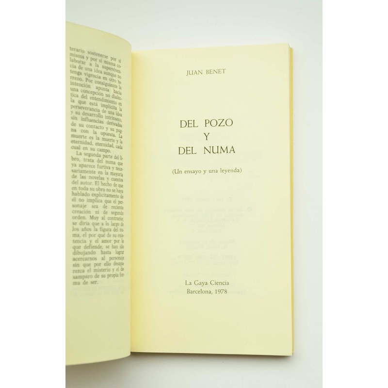 Del pozo y del Numa. Un ensayo y una leyenda