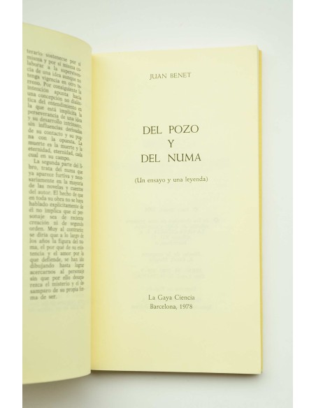 Del pozo y del Numa. Un ensayo y una leyenda