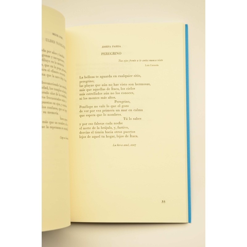 Nadie en suma. Cuarenta poemas sobre Ulises