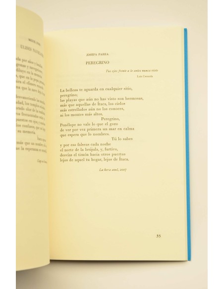 Nadie en suma. Cuarenta poemas sobre Ulises