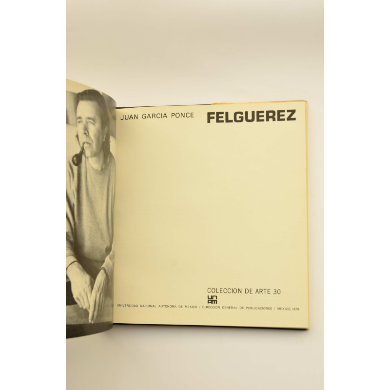 Felguérez