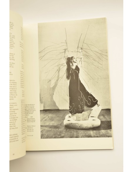 Noguchi's imaginay landscape