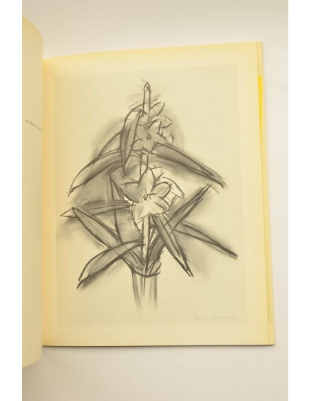 Matisse : oleos, dibujos, gouaches decoupées, esculturas y libros 