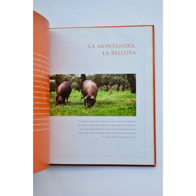 Jabugo al máximo. Arte y corte del jamón ibérico