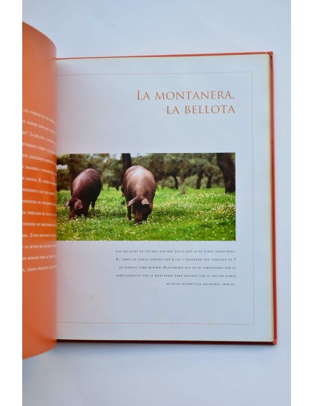Jabugo al máximo. Arte y corte del jamón ibérico