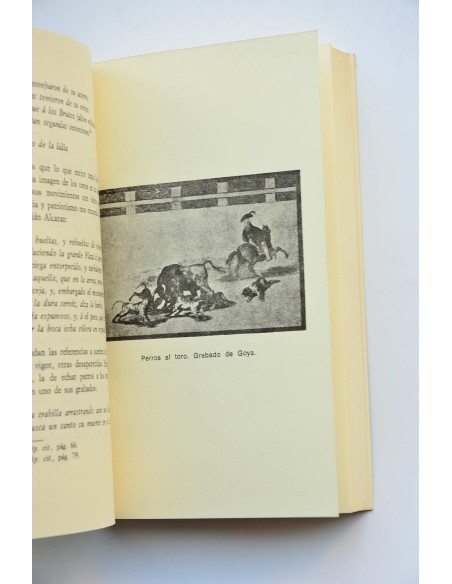 Los toros, el periodismo y la literatura en Murcia