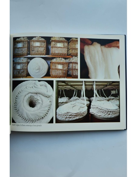 Sabadell al tombat del segle