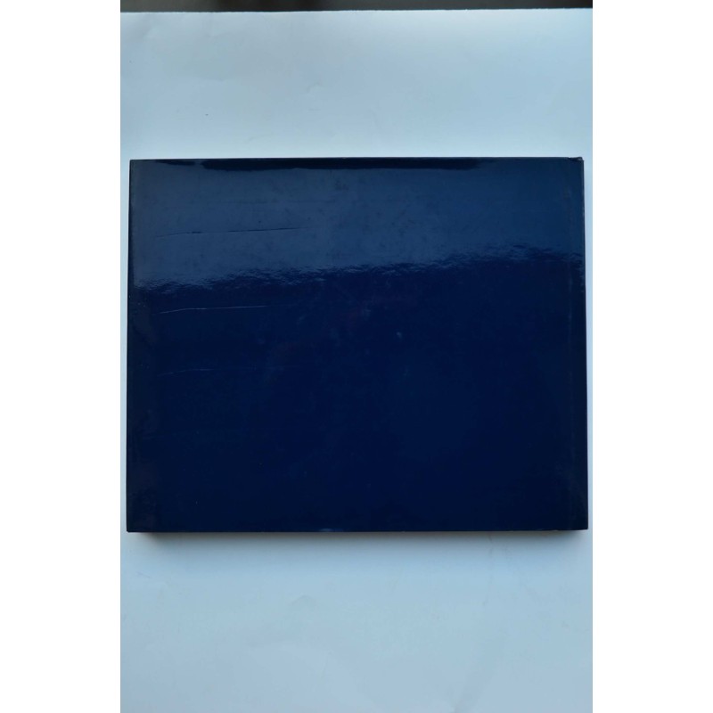 Sabadell al tombat del segle