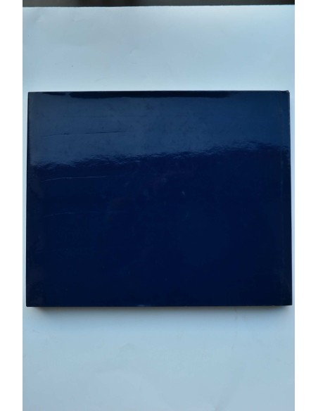 Sabadell al tombat del segle