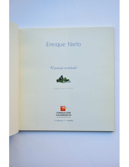 Enrique Nieto. El paisaje revisitado