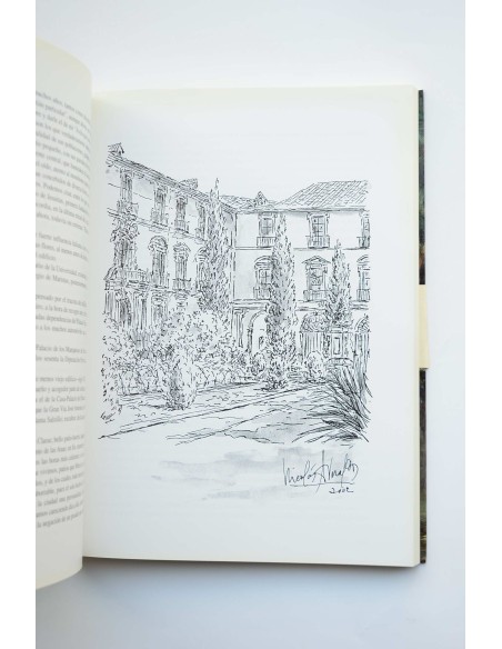 Viejos recuerdos. Gentes, fiestas, cosas y costumbres de la vida de Murcia, hace medio siglo