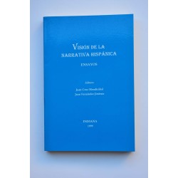 Visión de la narrativa hispánica. Ensayos