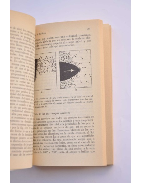 Biografía de la física