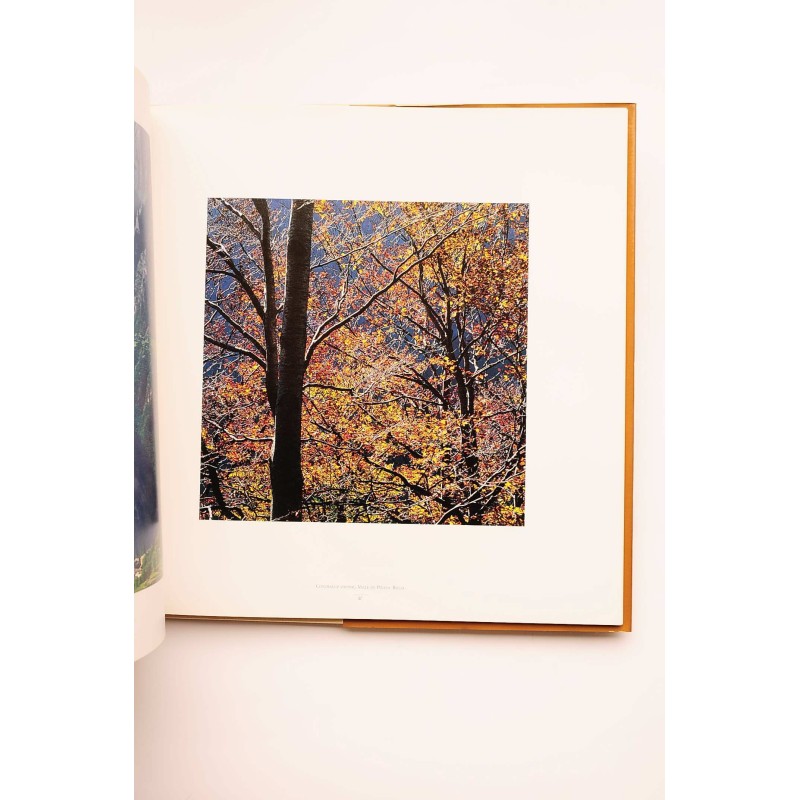 El Pirineo Aragonés