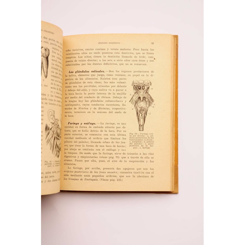 Nuestro organismo : anatomía, fisiología e higiene