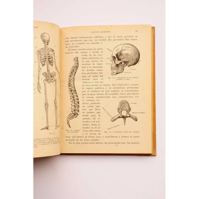 Nuestro organismo : anatomía, fisiología e higiene