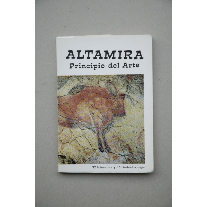 Altamira : principio del arte