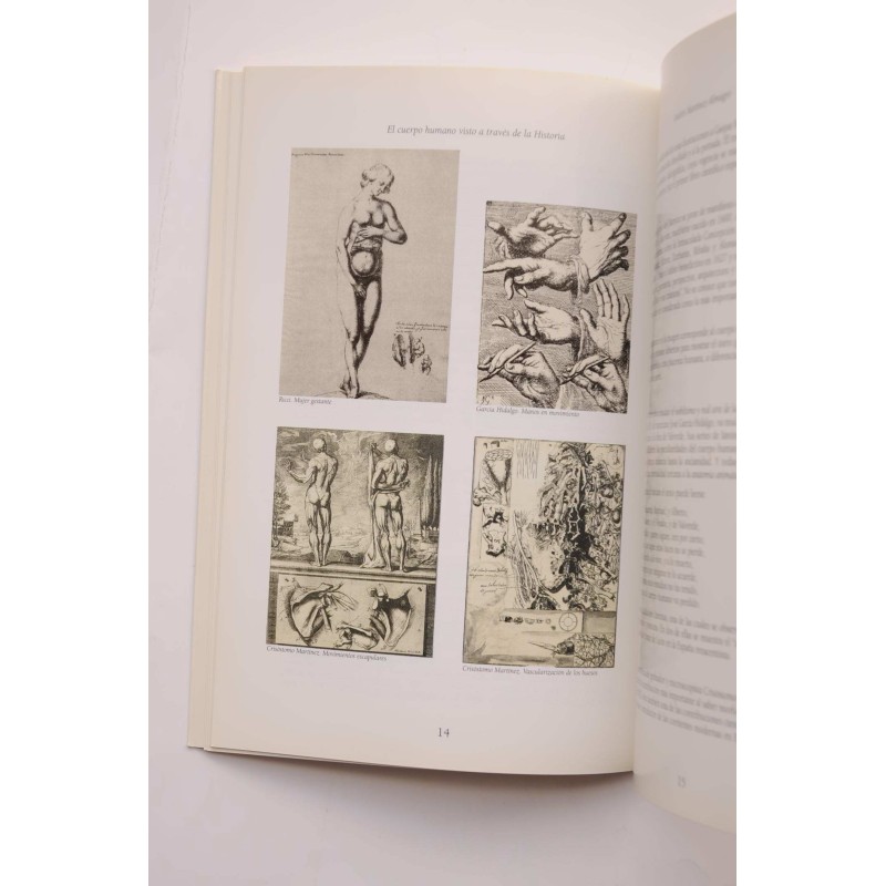 El cuerpo humano visto a través de la historia...