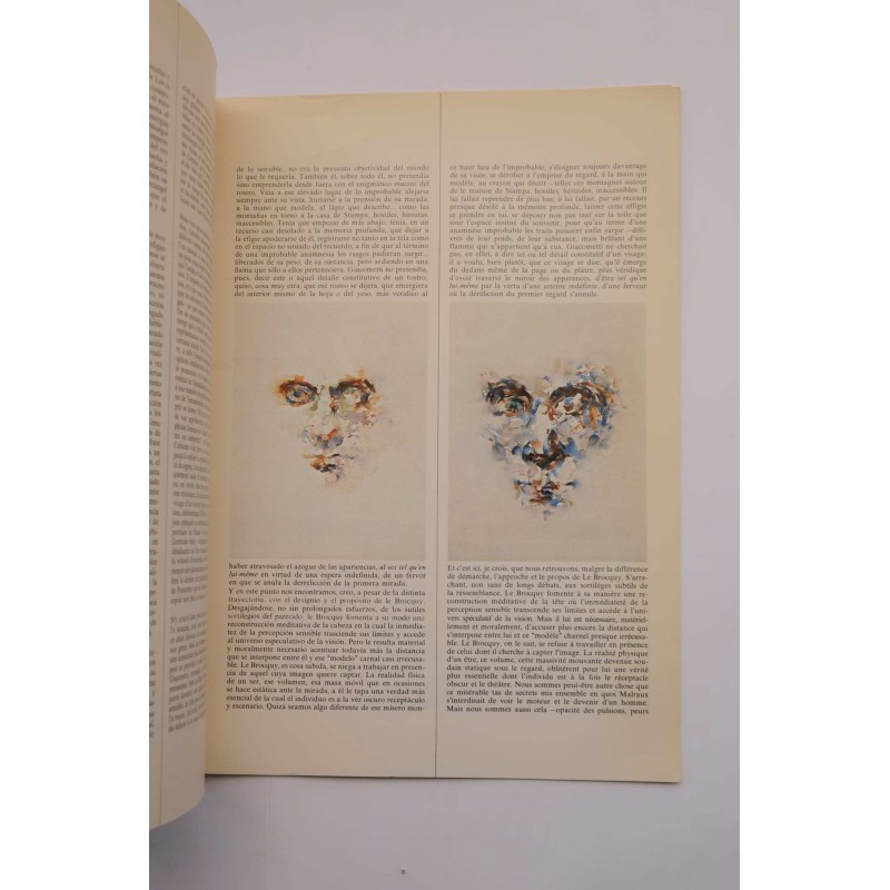 Louis de Brocquy : 88 estudis per a una imatge...