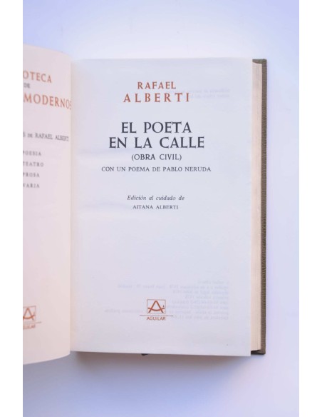 El poeta en la calle (obra civil)
