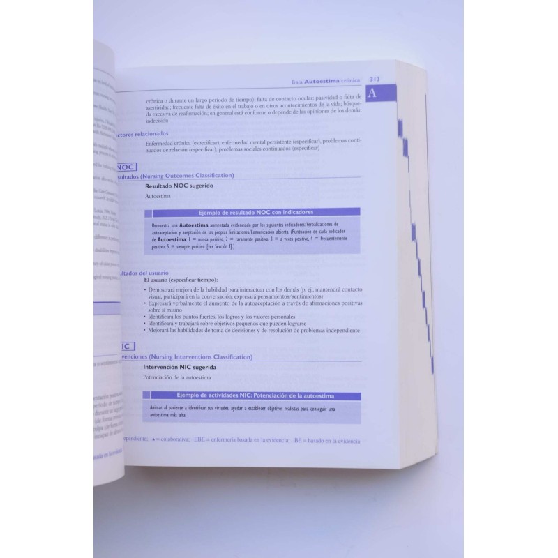 Manual de diagnósticos de enfermería. Guía para...