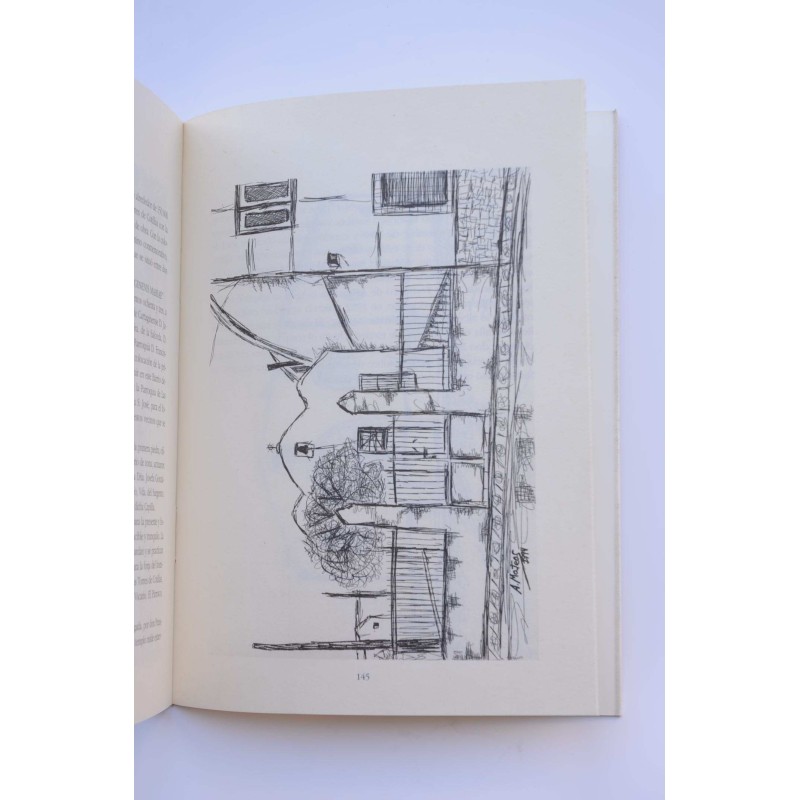 las Torres de Cotillas. Aportaciones históricas