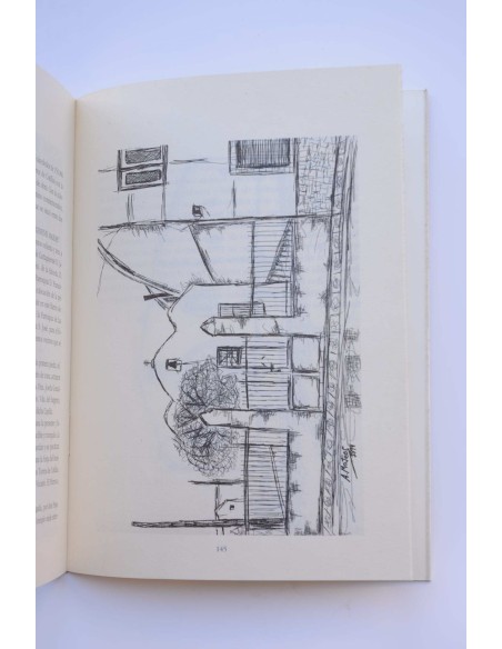 las Torres de Cotillas. Aportaciones históricas