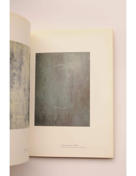 Santiago Serrano. Catálogo de exposiciones.  Galería Soledad Lorenzo, noviembre- diciembre 1992