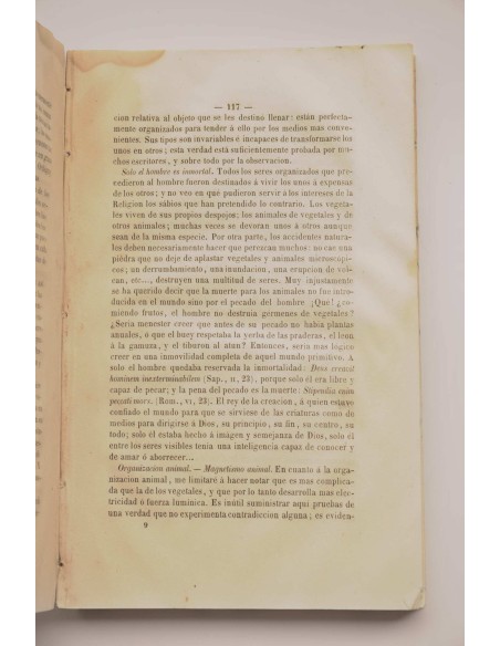 Teoría bíblica de la cosmogonía y de la geología 