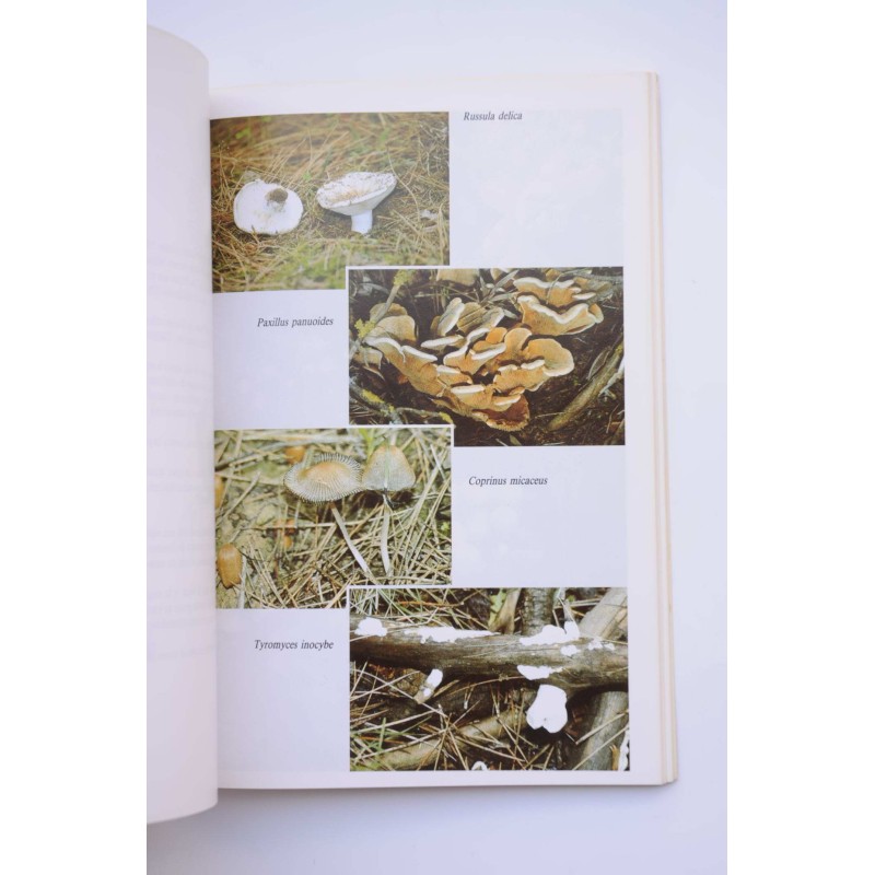 Iniciación a la micología. Hongos de la Regíon...