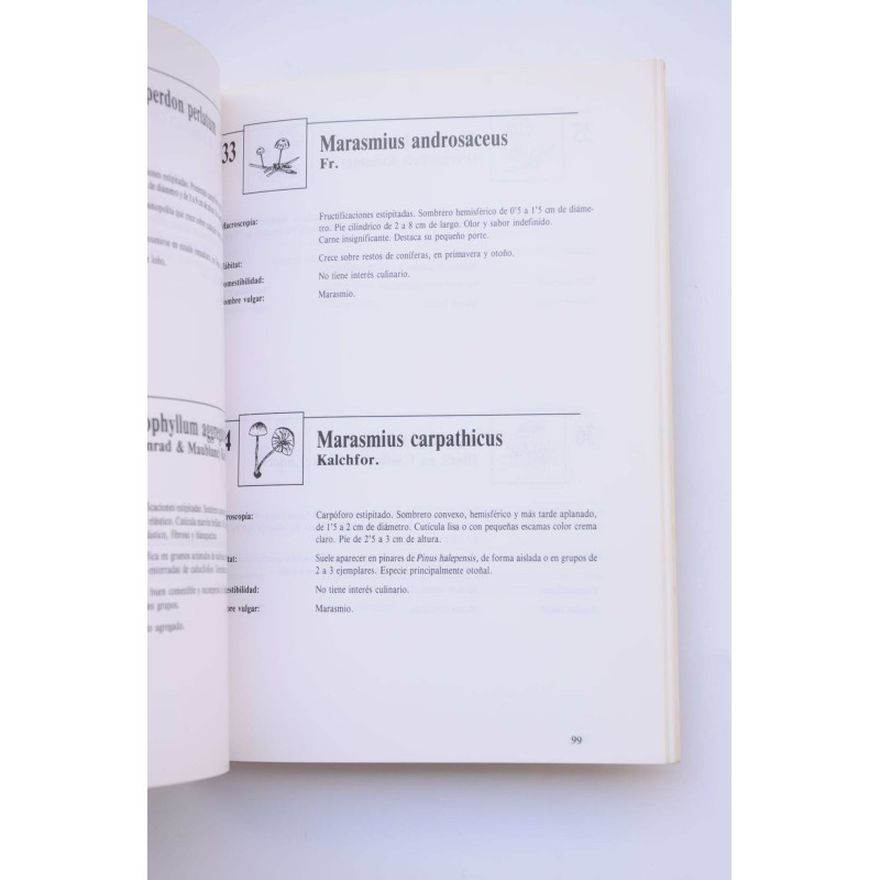 Iniciación a la micología. Hongos de la Regíon...