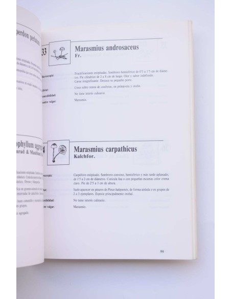 Iniciación a la micología. Hongos de la Regíon de Murcia