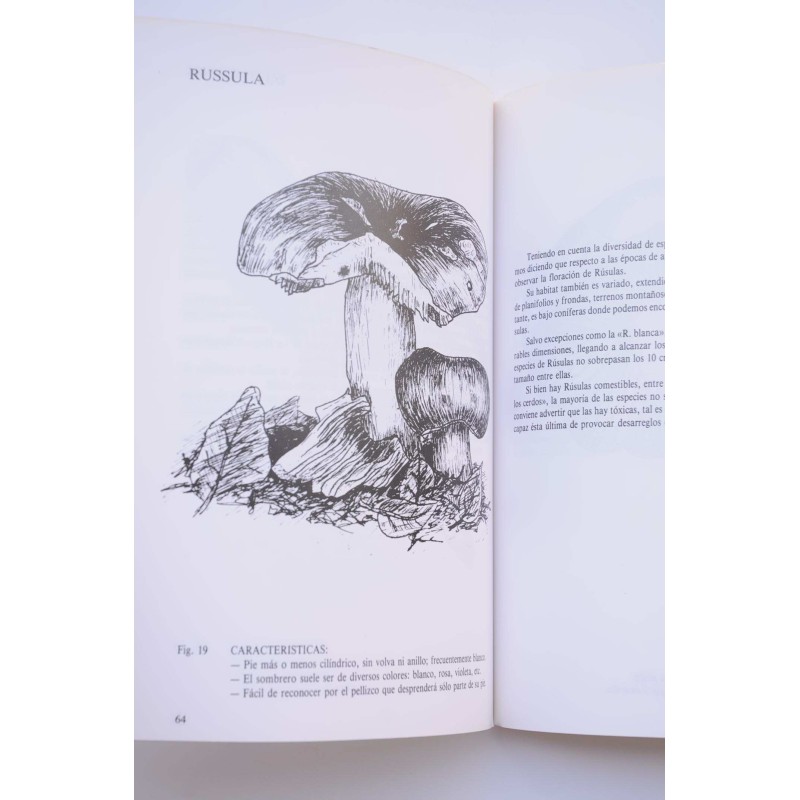 Iniciación a la micología. Hongos de la Regíon...