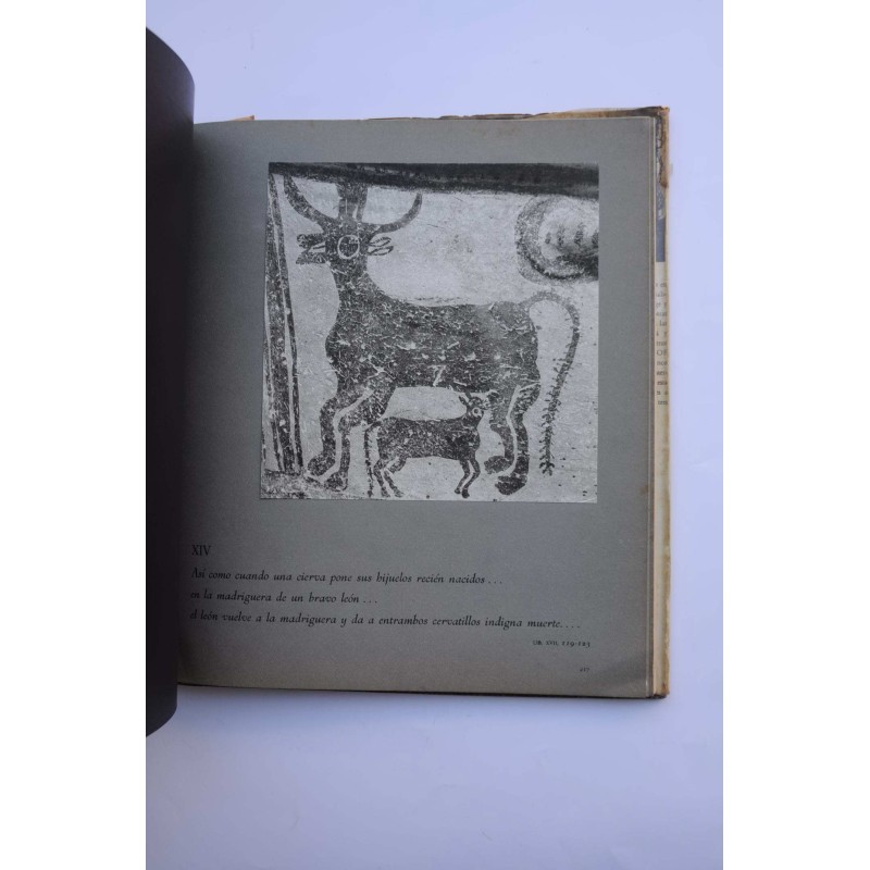 El tiempo de los dioses. Un fotógrafo en la...