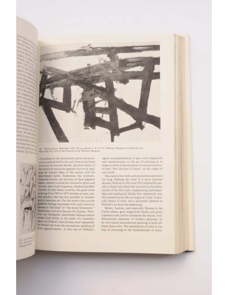 American art of the 20th Century : painting, sculpture, architecture