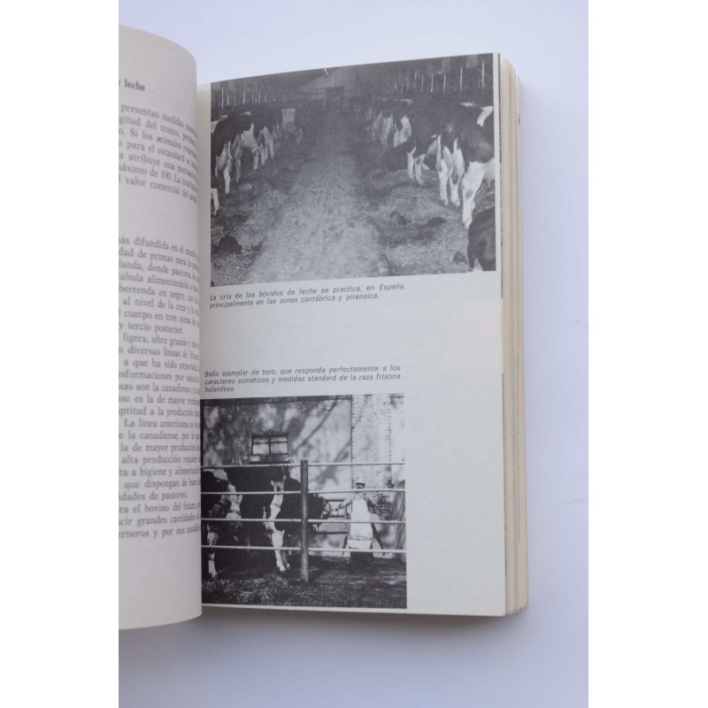 Ganadería moderna : cuidados y reproducción de...