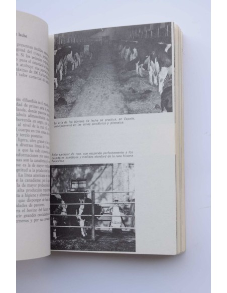 Ganadería moderna : cuidados y reproducción de bovinos, caballos, cerdos, conejos y animáles domésticos