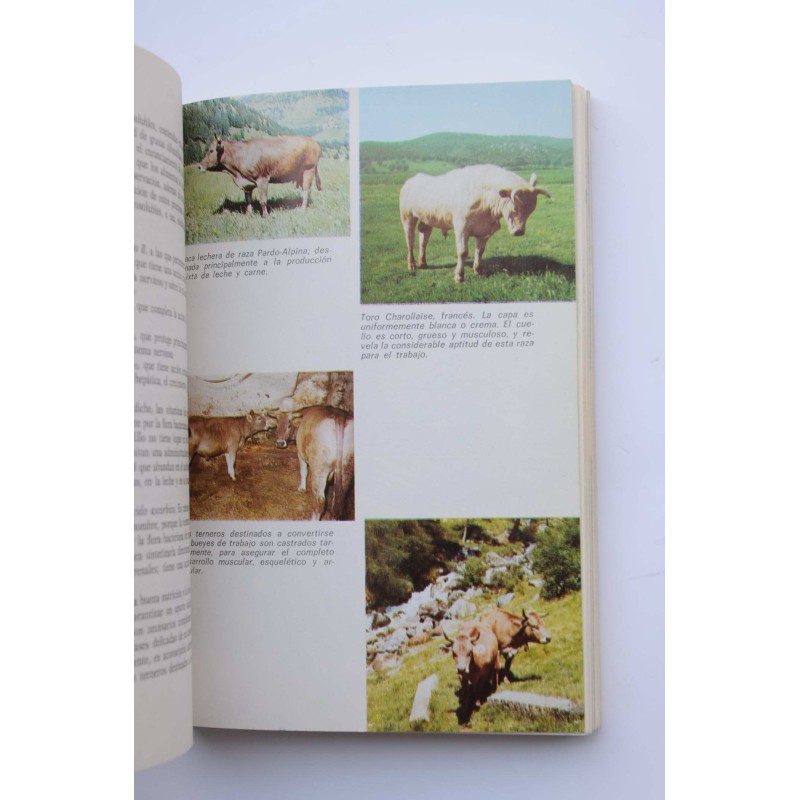 Ganadería moderna : cuidados y reproducción de...