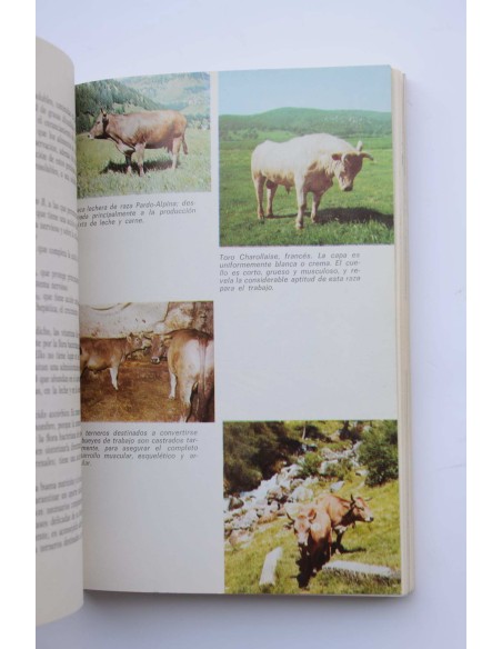 Ganadería moderna : cuidados y reproducción de bovinos, caballos, cerdos, conejos y animáles domésticos