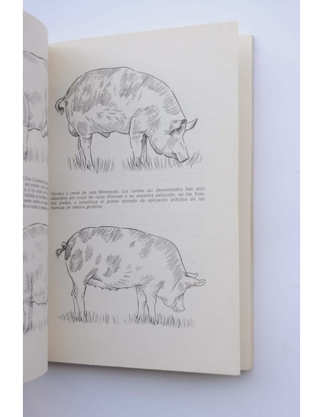 Ganadería moderna : cuidados y reproducción de bovinos, caballos, cerdos, conejos y animáles domésticos