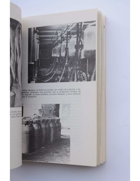 Ganadería moderna : cuidados y reproducción de bovinos, caballos, cerdos, conejos y animáles domésticos