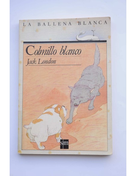 Colmillo blanco