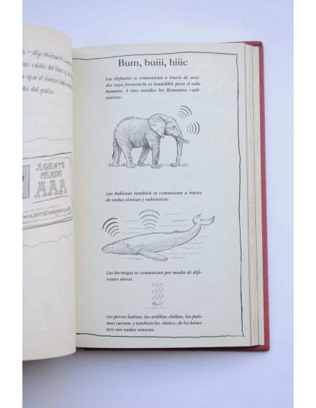 El club de los bichos raros