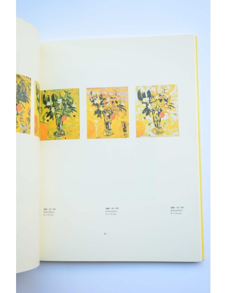 Alfonso Albacete. Catálogo de exposición. Palacio Almudí, 1998