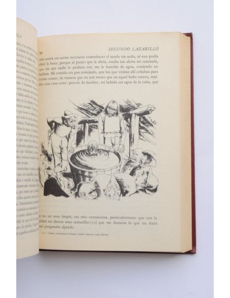 La picaresca española