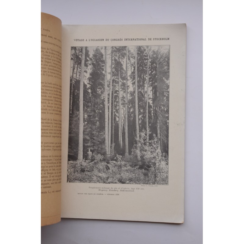 Revue de Eaux et Forêts : revue mensuelle. VII...