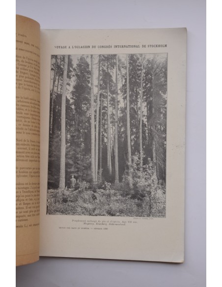Revue de Eaux et Forêts : revue mensuelle. VII Série, 28º année, nº 12, février 1930
