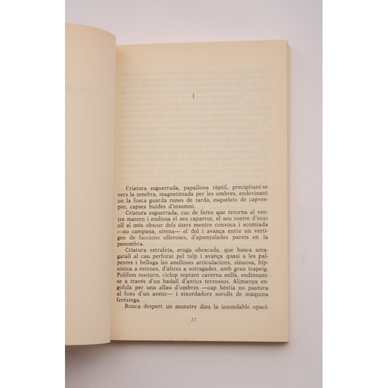 Una primavera per a Domenico Guarini